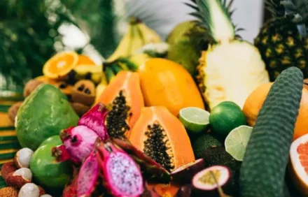 A Family Day at Tropical Fruit World near Kingscliff